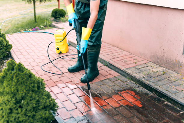 Animal Enclosure Cleaning in Brooklyn, WI
